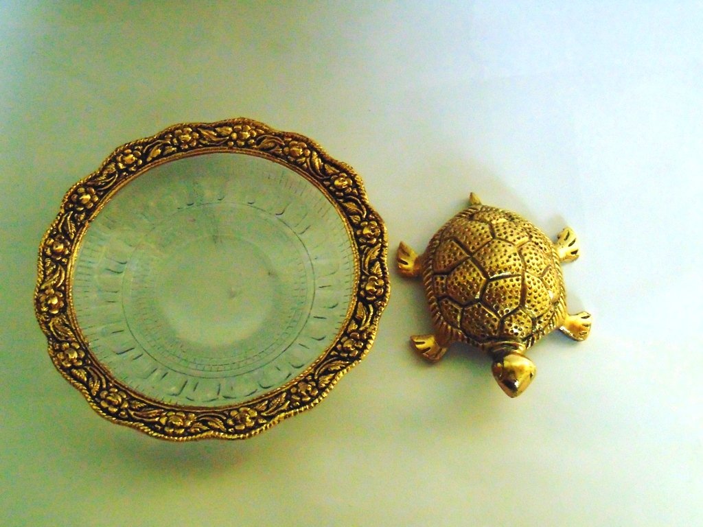 Tortoise - HD Wallpaper 