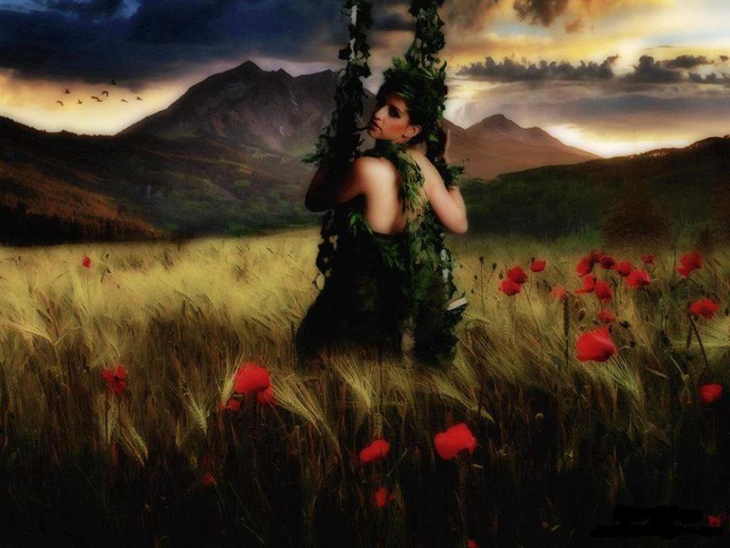 Day Dreamer - Poppy - HD Wallpaper 