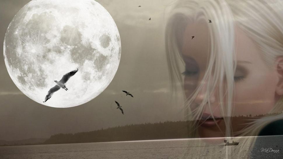Moon Dreamer Wallpaper,firefox Persona Hd Wallpaper,girl - Moon - HD Wallpaper 