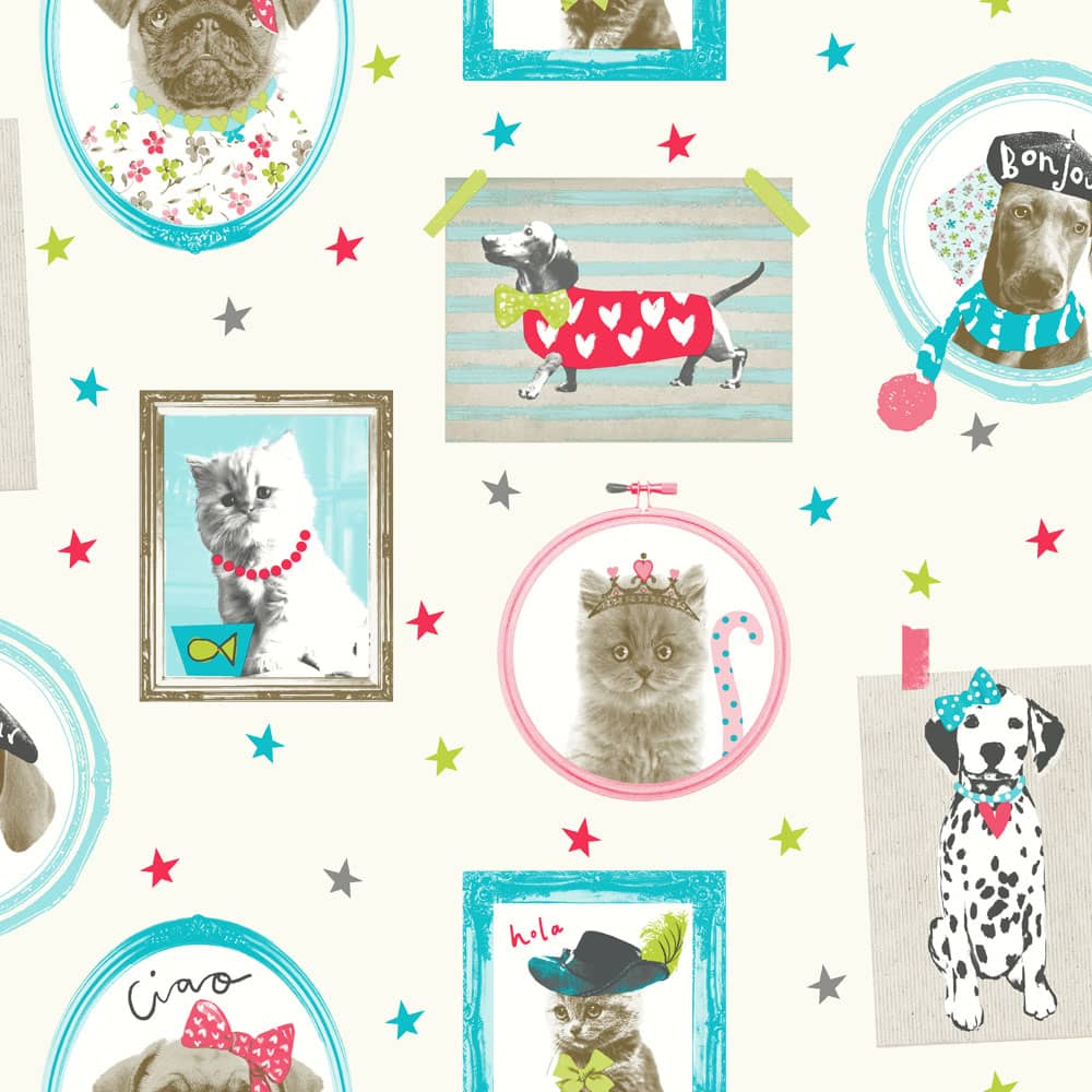 Dog Wallpaper For Bedroom - 1000x1000 Wallpaper Dog Wallpaper For Bedroom - 1000x1000 Wallpaper