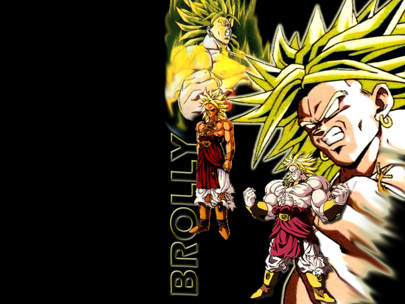 Dragon Ball Z Broly - HD Wallpaper 