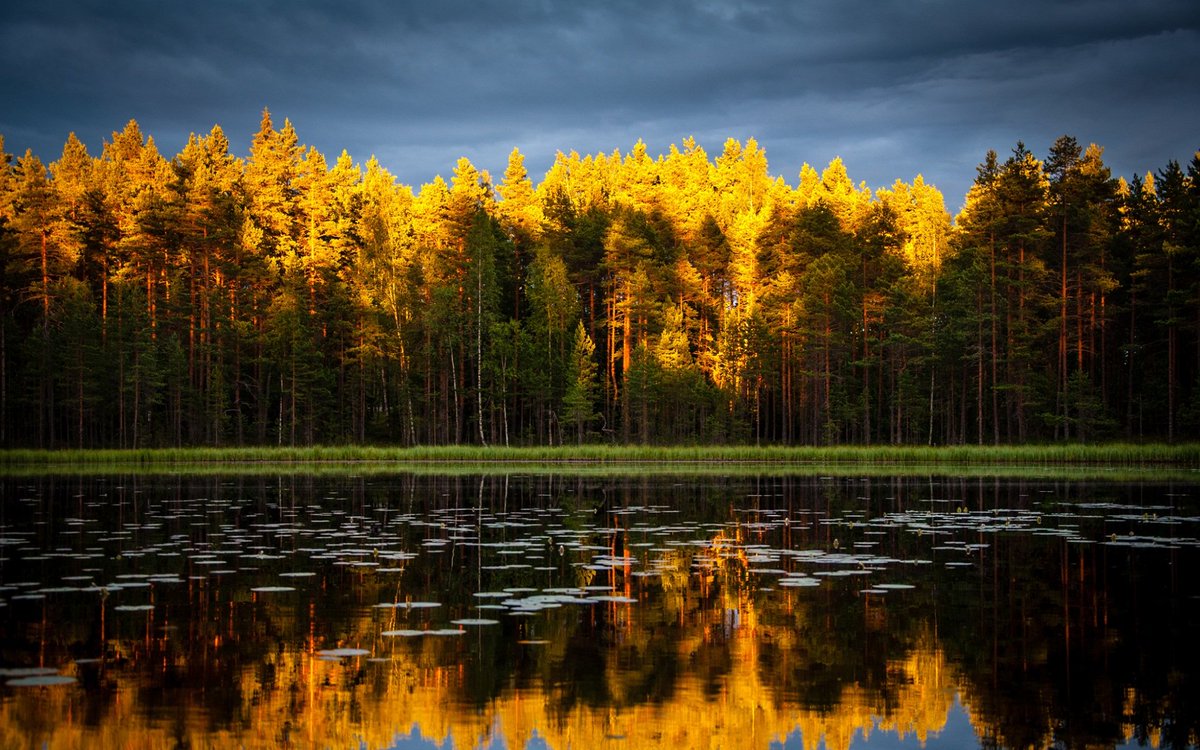 David Marcu Photography Reflections - HD Wallpaper 