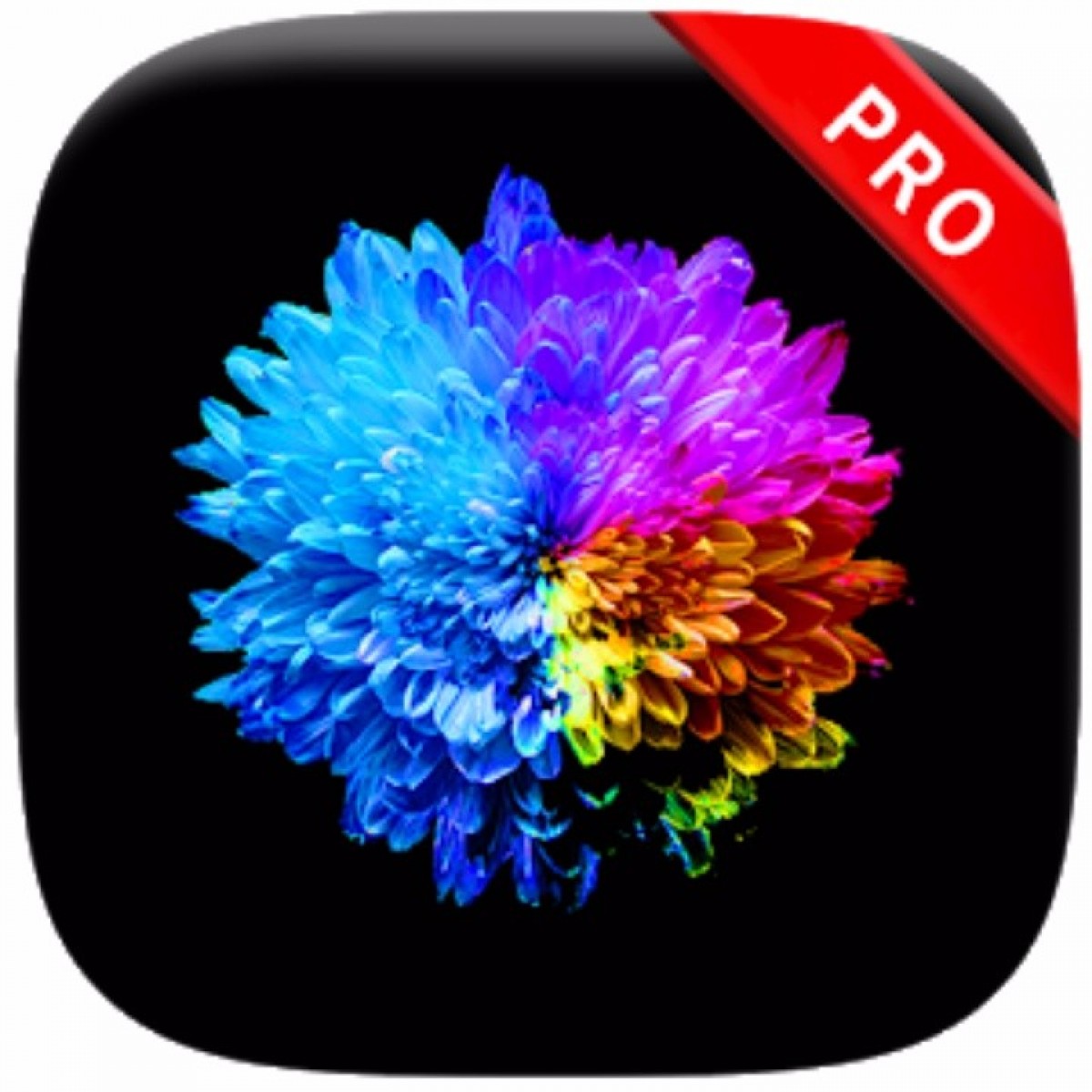 Darknex Pro - HD Wallpaper 