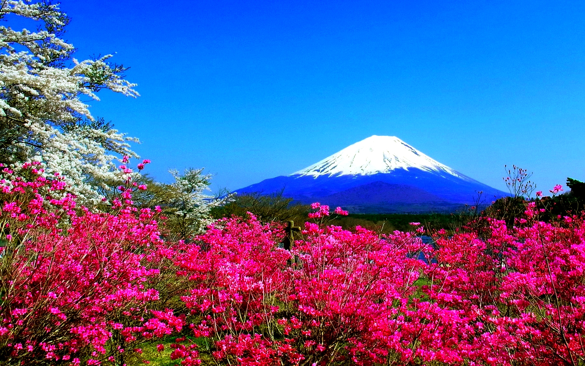 Japan Nature Hd - HD Wallpaper 