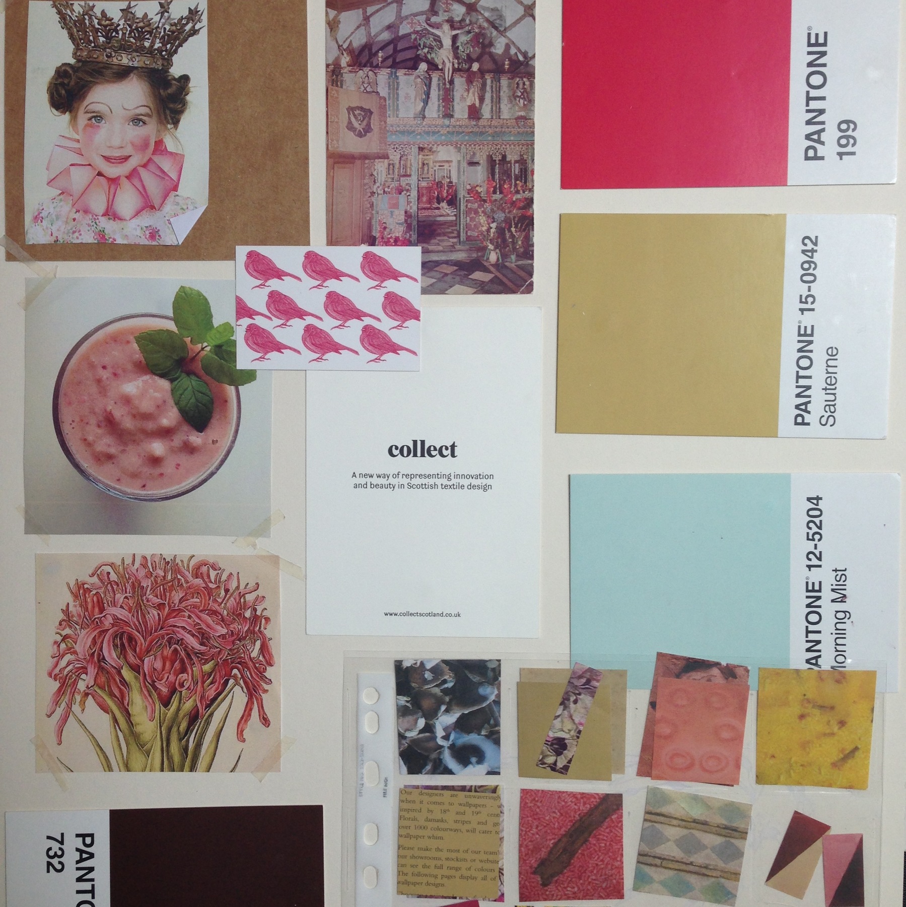 Weird Flowers - HD Wallpaper 