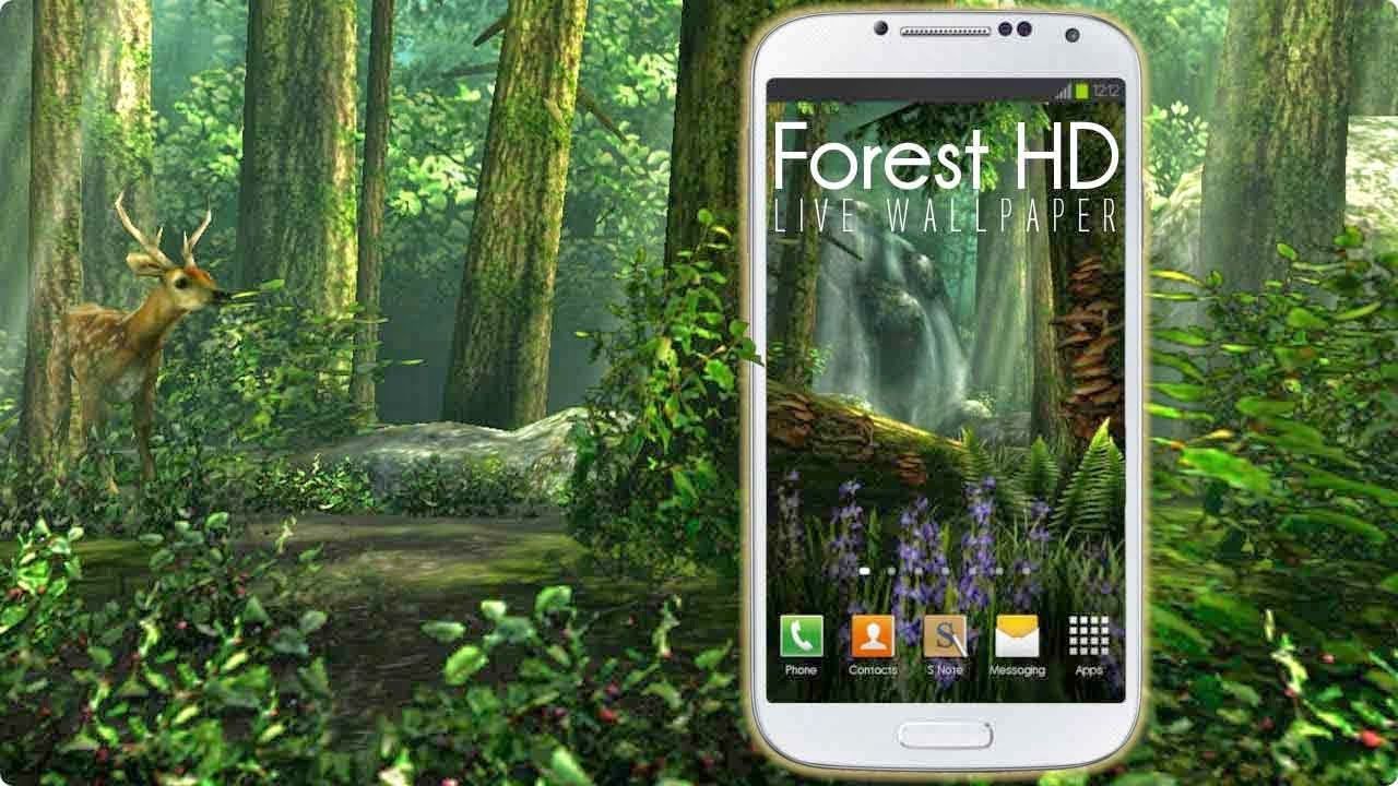 3d Forest Hd Live - HD Wallpaper 