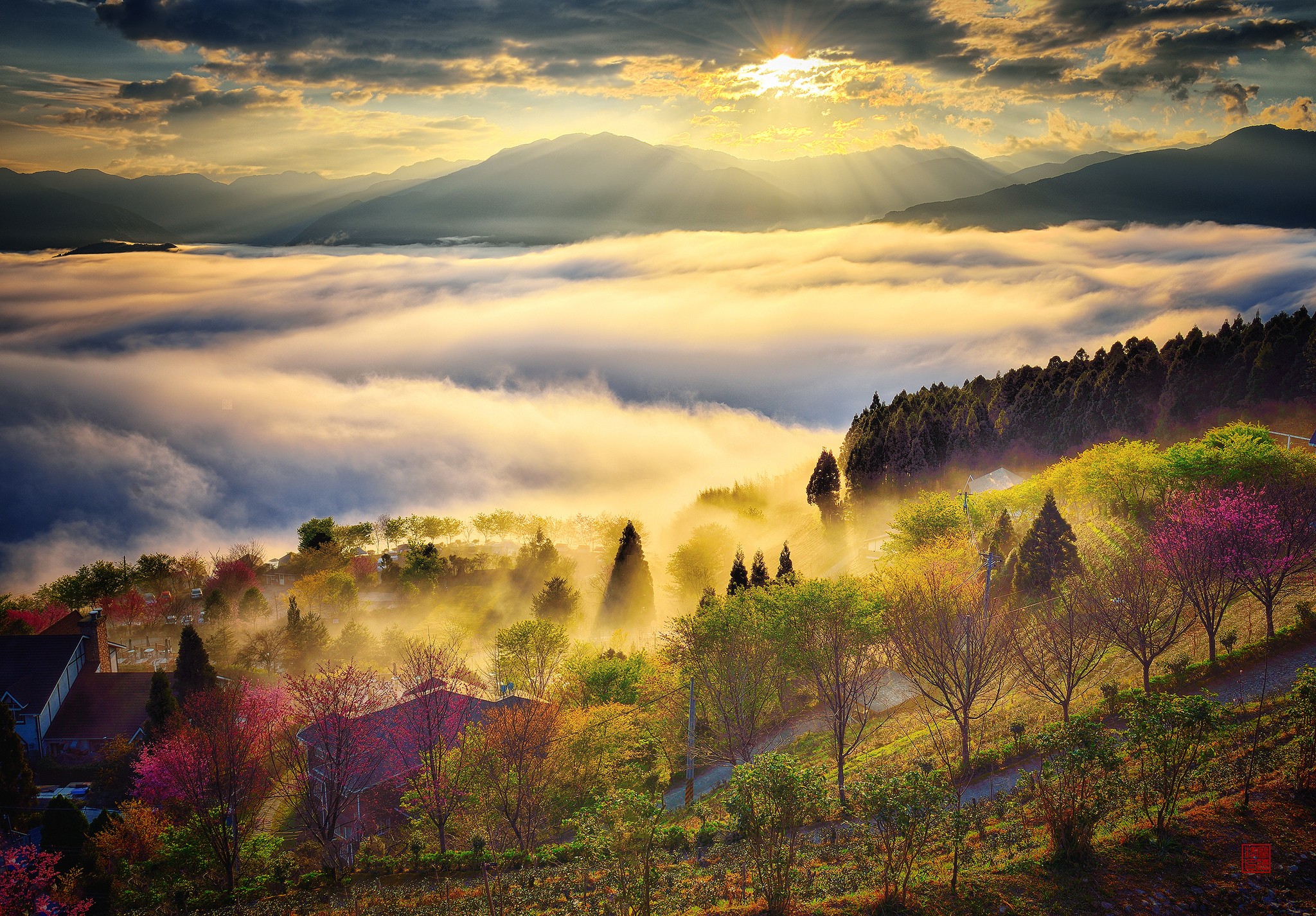 Hd Nature Wallpapers Background Images Download Free - 每 早晨 都 是 新 - HD Wallpaper 