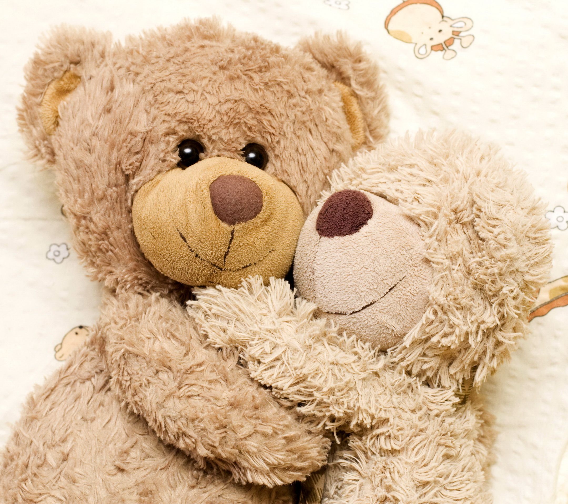 Teddy Bears In Love - HD Wallpaper 