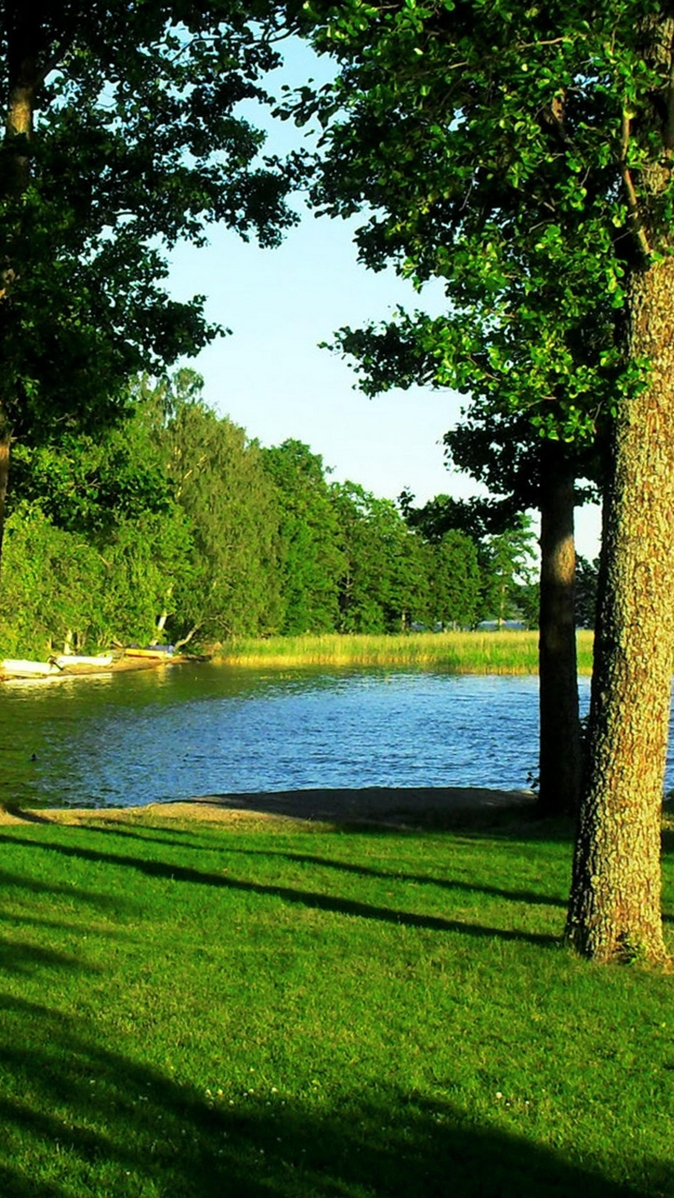 Lake With Grass And Trees - HD Wallpaper 