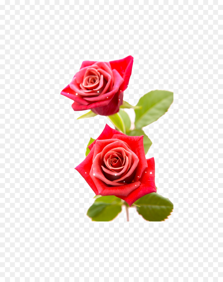 Cartoon Drawing Wallpaper, Png, 673x957px, Watercolor, - Kids - HD Wallpaper 