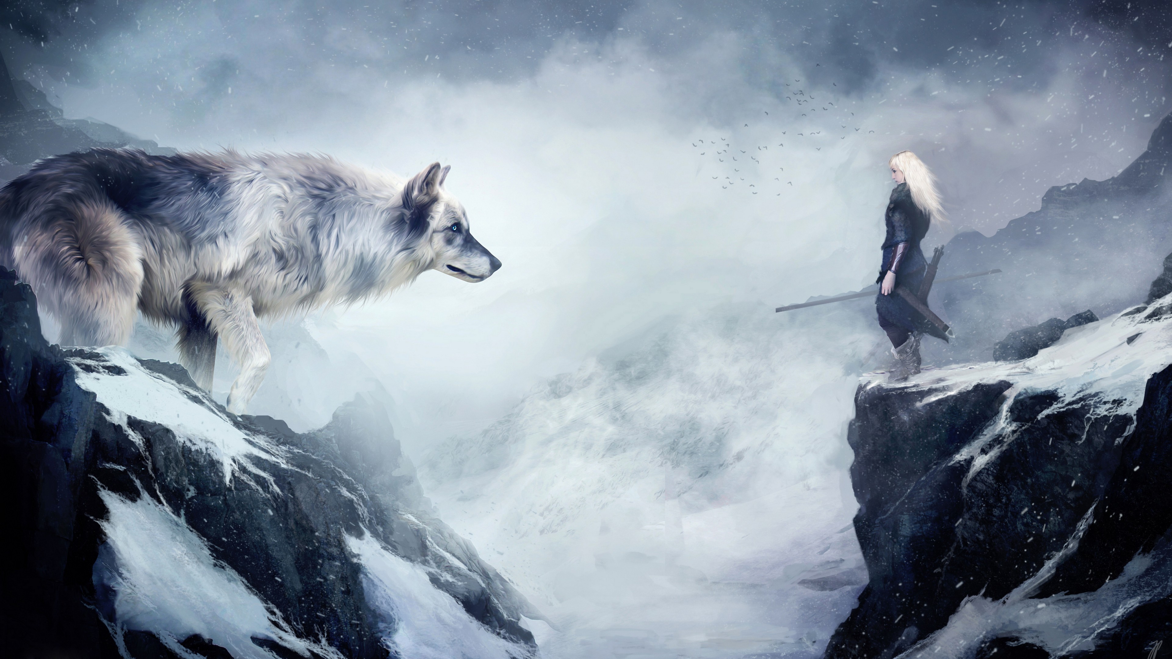 Wolf Background - HD Wallpaper 