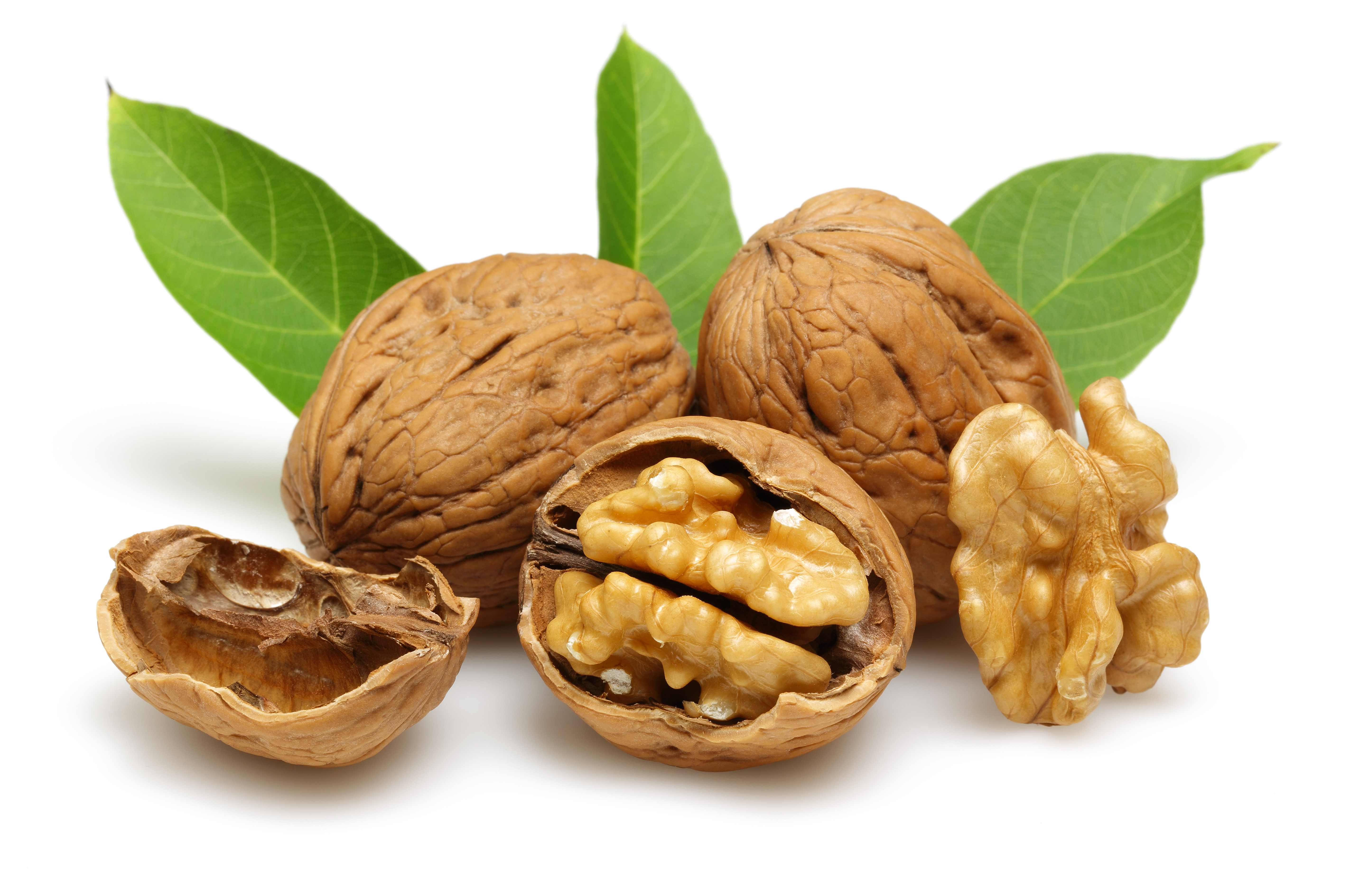 Walnut Wallpapers 1080p - HD Wallpaper 