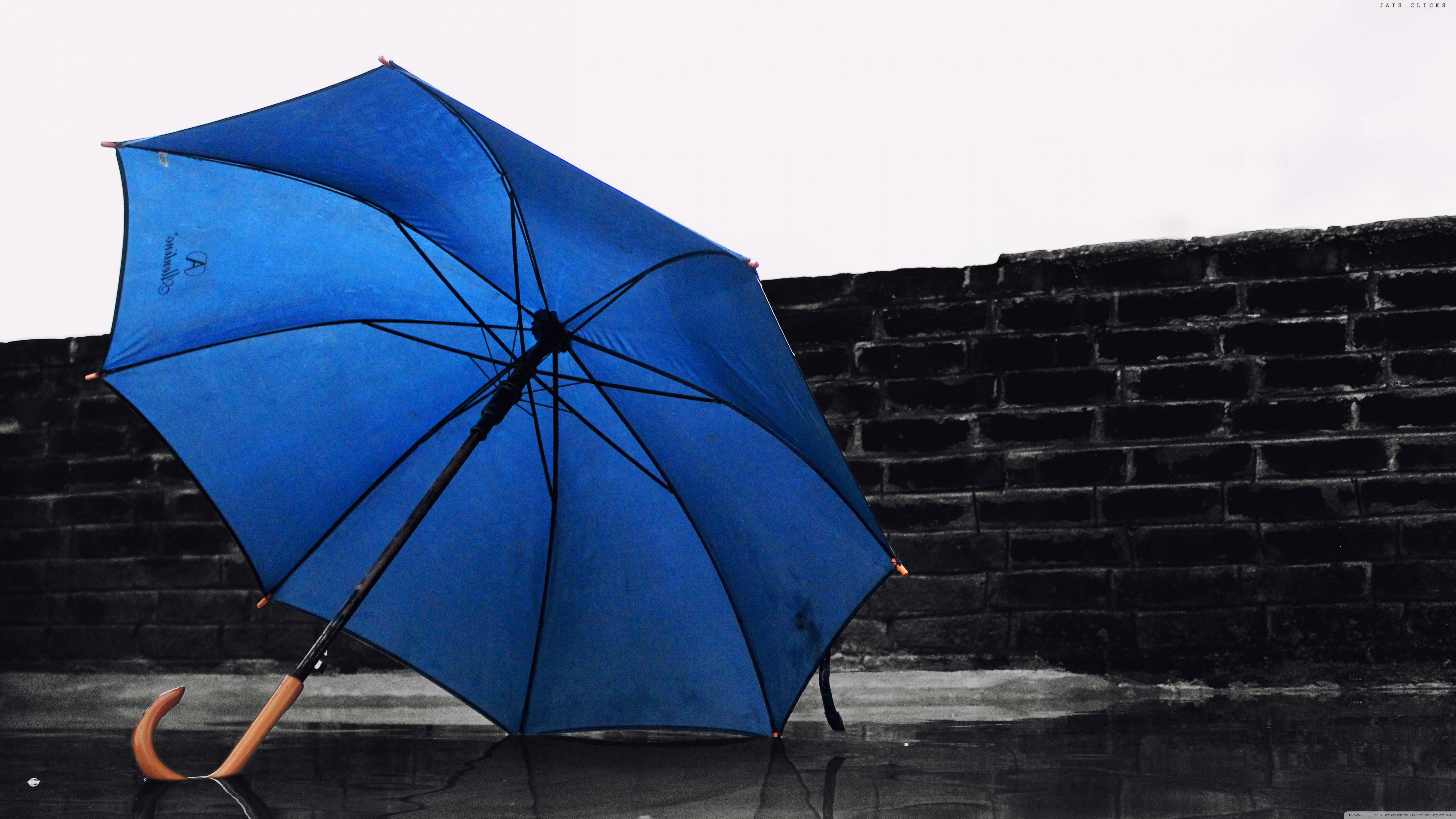 4k Blue Umbrella Wallpaper For Desktop And Mobile Phones - Blue Umbrella Wallpaper 4k - HD Wallpaper 