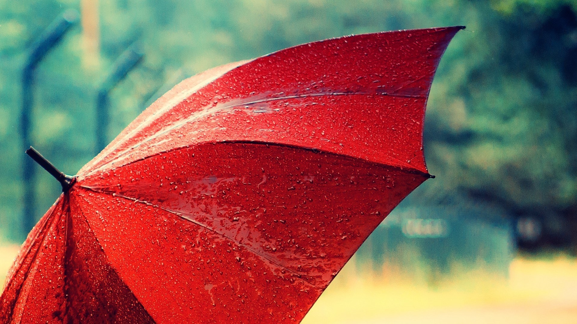 Wallpaper Red Umbrella, After Rain, Water Drops - Water Drops On Umbrella - HD Wallpaper 