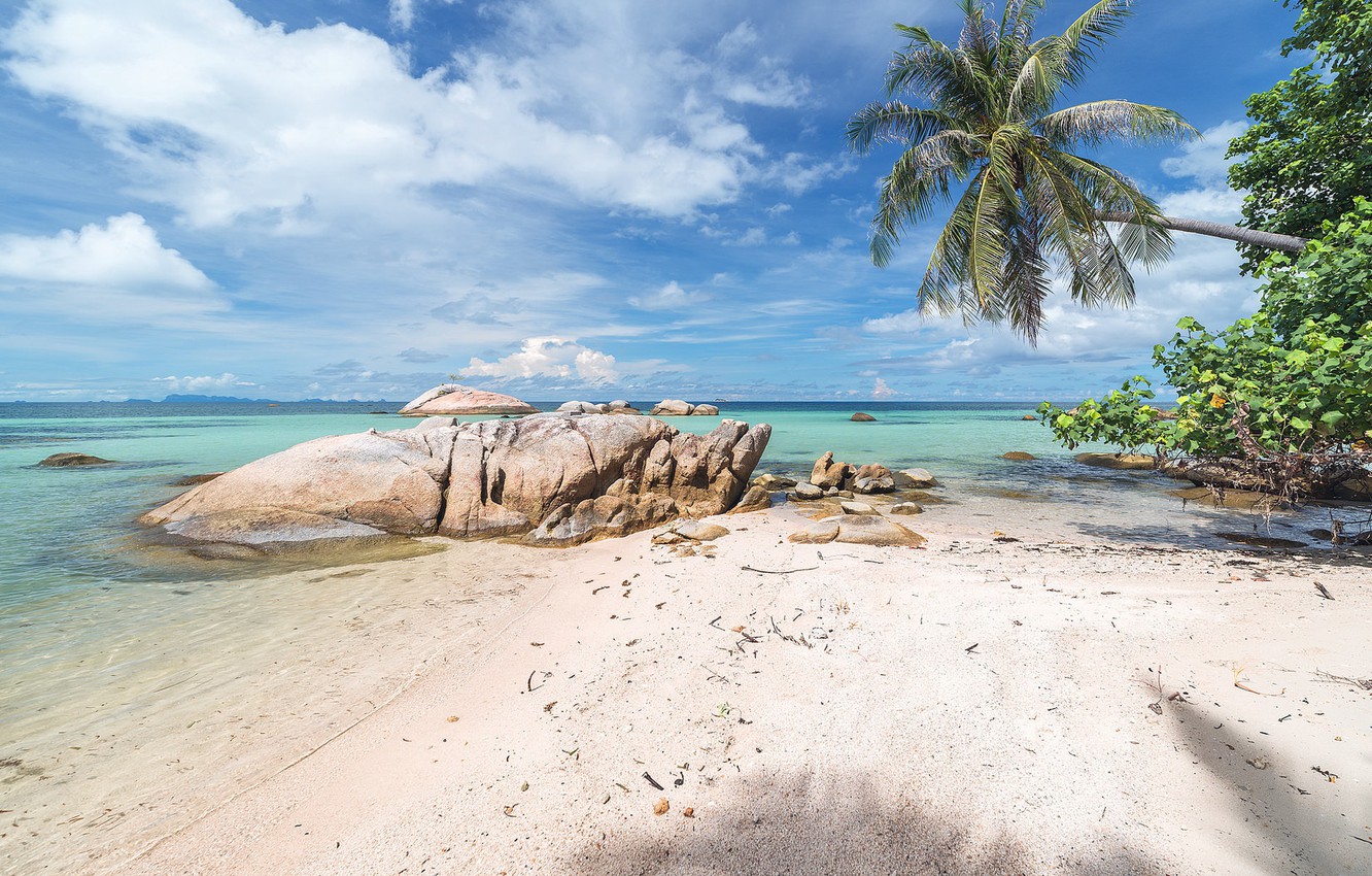 Photo Wallpaper Sea, Beach, Nature, Tropics, Palm Trees, - Beach Ridge - HD Wallpaper 