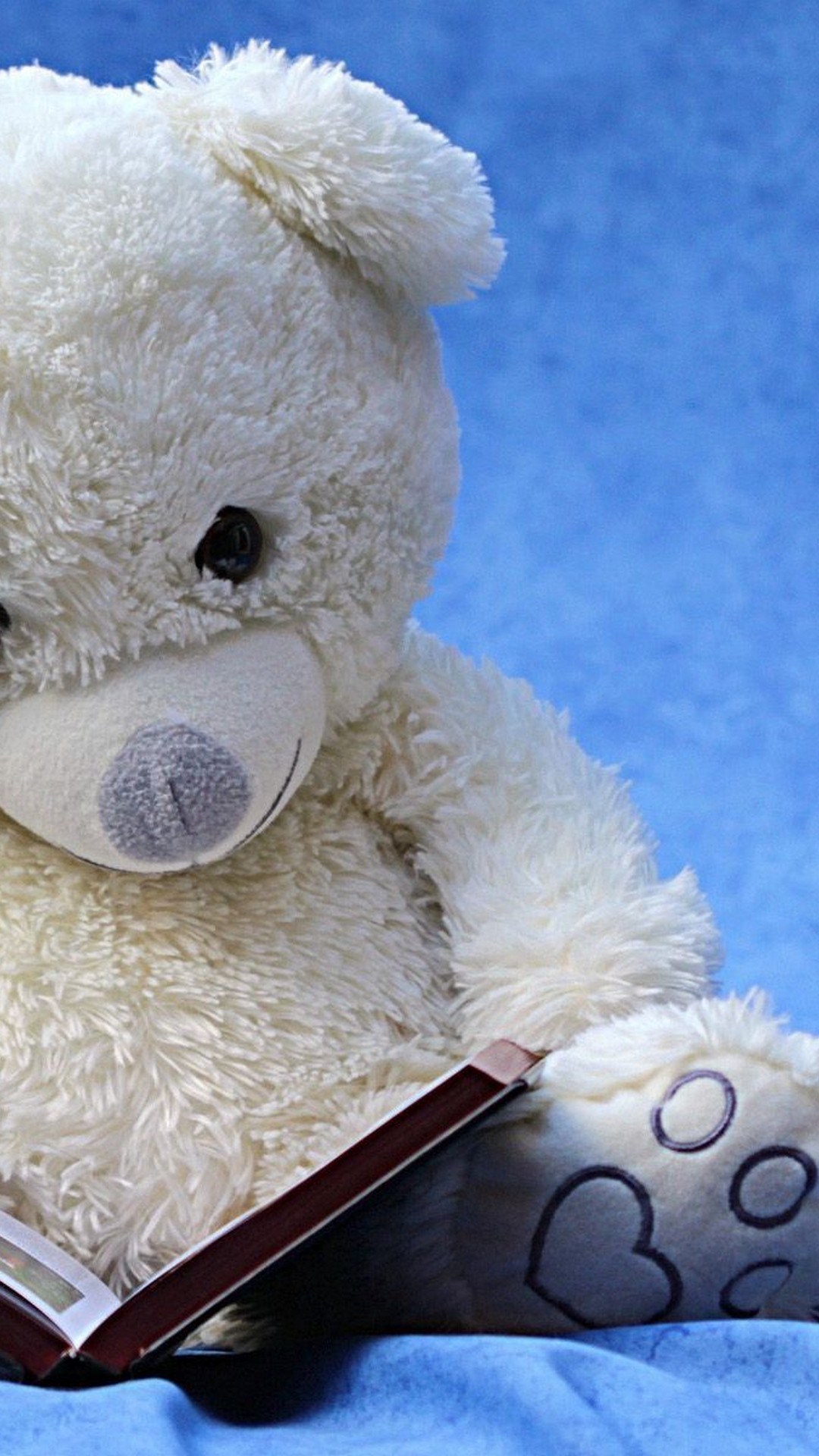 Wallpaper Iphone Teddy Bear Giant With Image Resolution - Teddy Wallpaper For Iphone - HD Wallpaper 