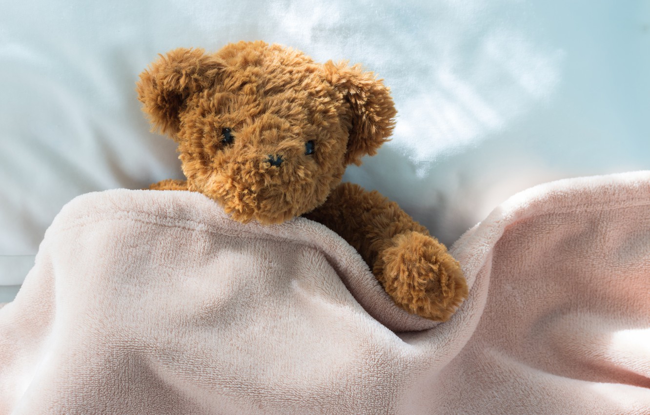 Photo Wallpaper Toy, Bear, Bear, Bear, Teddy, Bed, - Teddybär Im Bett - HD Wallpaper 