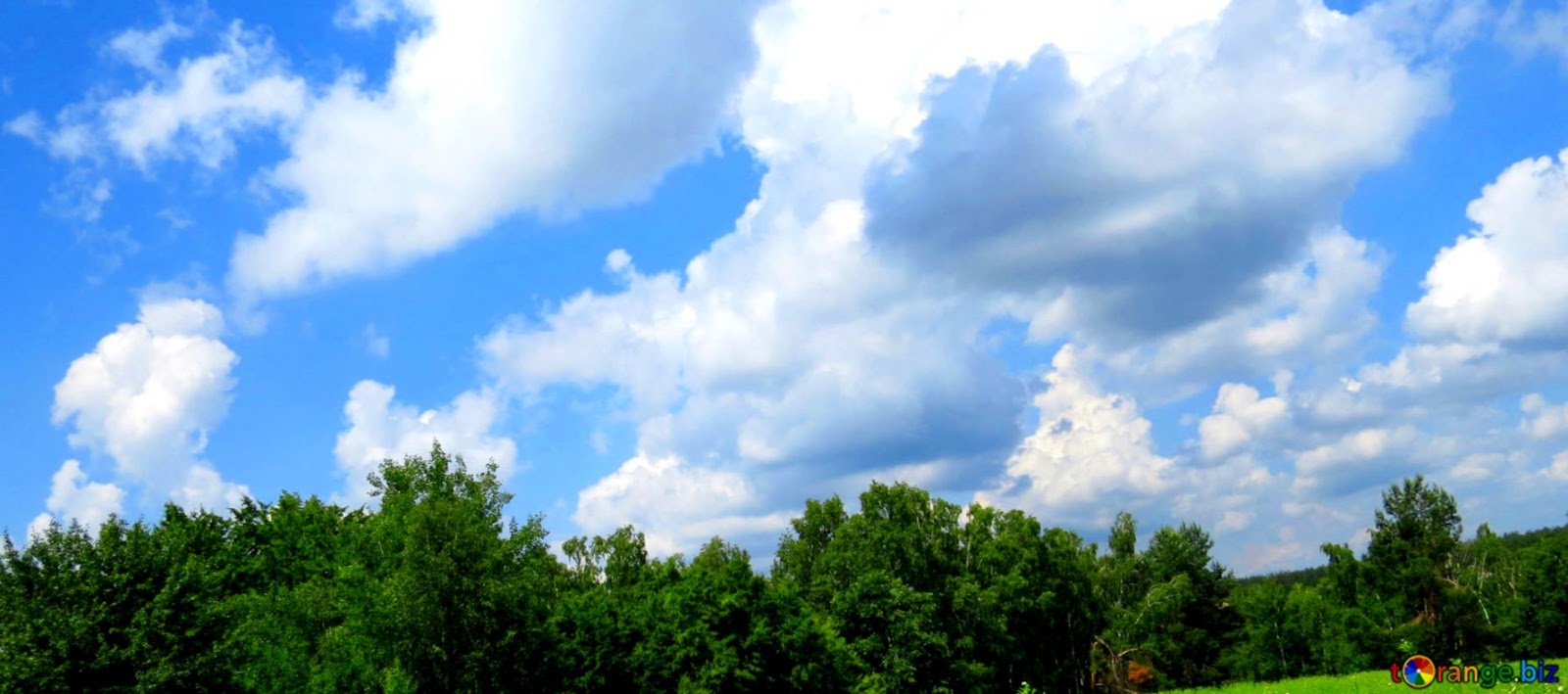 Download Free Picture Abdeckung Wallpaper Natur On - Wallpaper - HD Wallpaper 