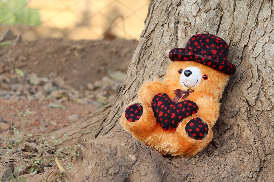 Teddy Bear, Teddy Image, Teddy Wallpaper, Teddy, Brown - HD Wallpaper 
