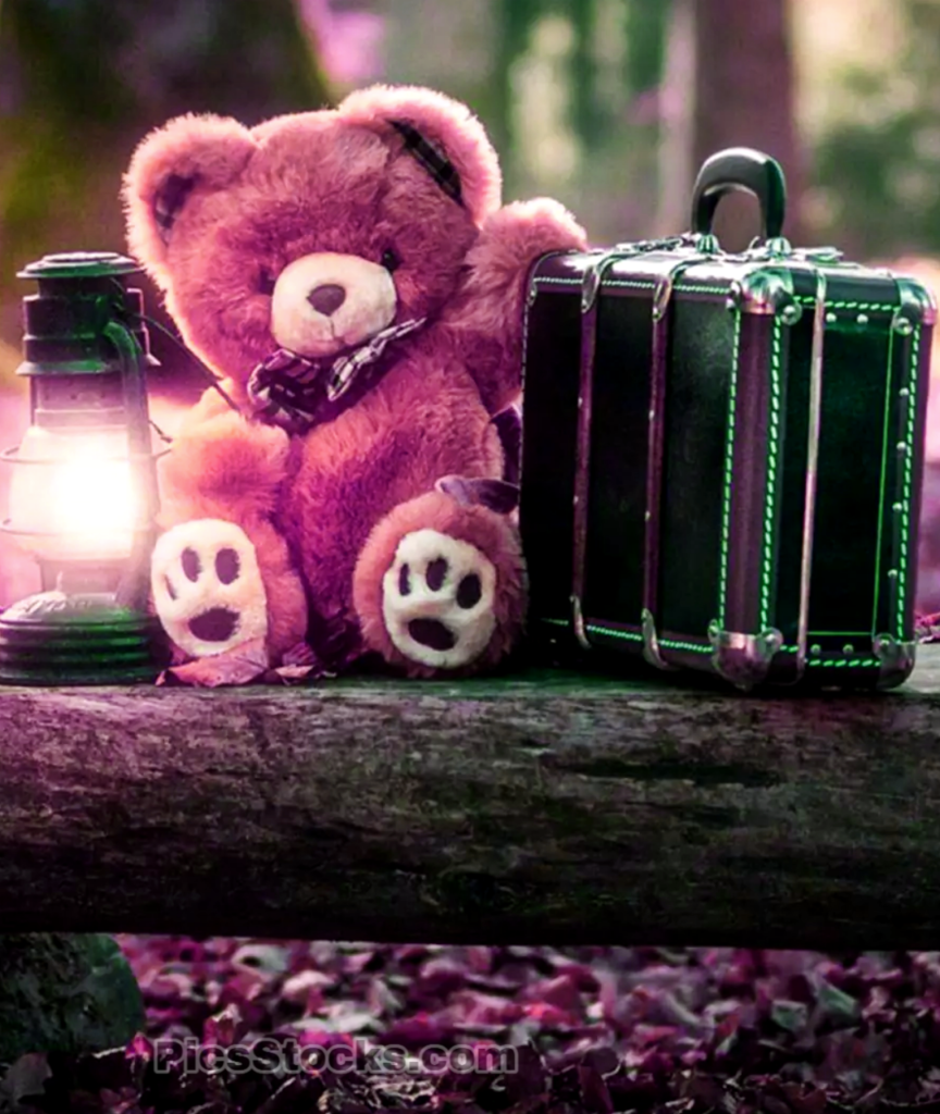 Teddy Bear Cute Images - Teddy Bear - HD Wallpaper 