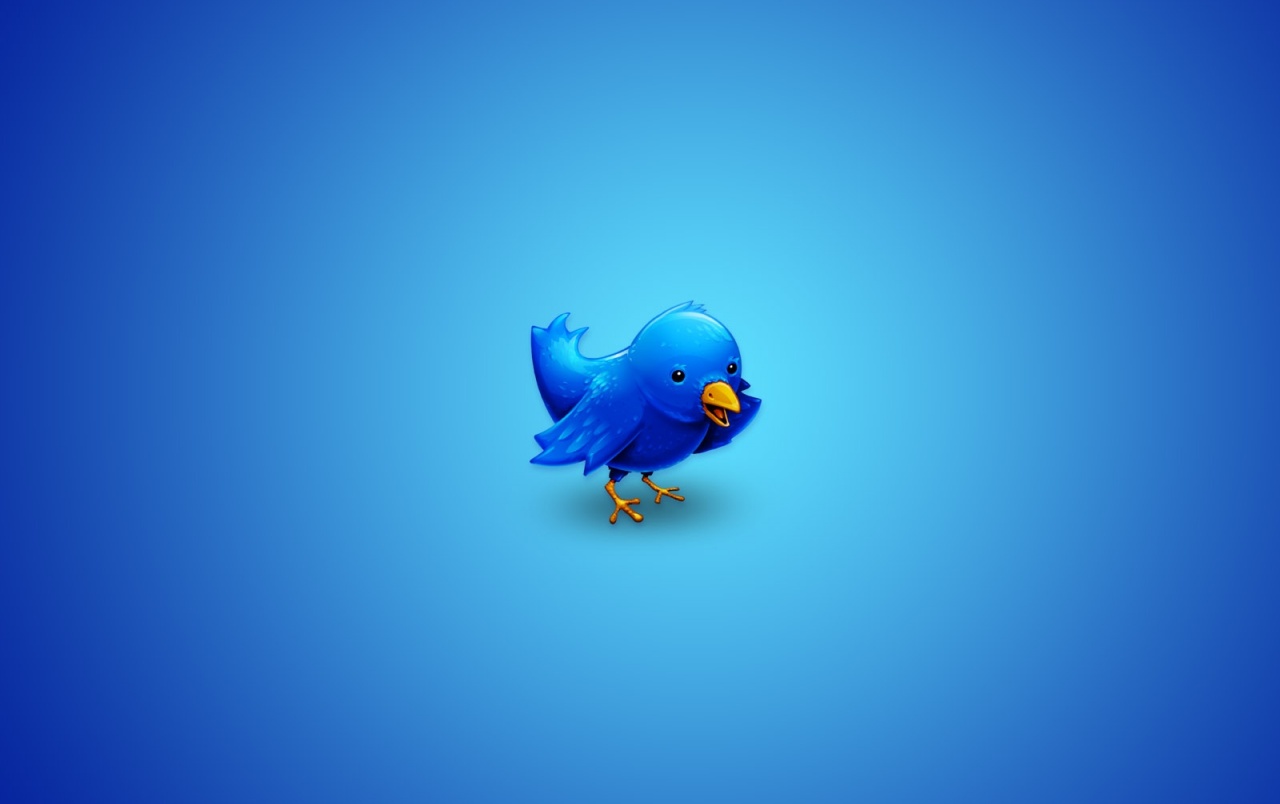 Twitter Bird Wallpapers - Twitter Sparrow - HD Wallpaper 