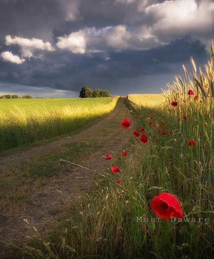 Nice Wallpaper - Mast Daware - Sharechat - Пепед Грозой - HD Wallpaper 