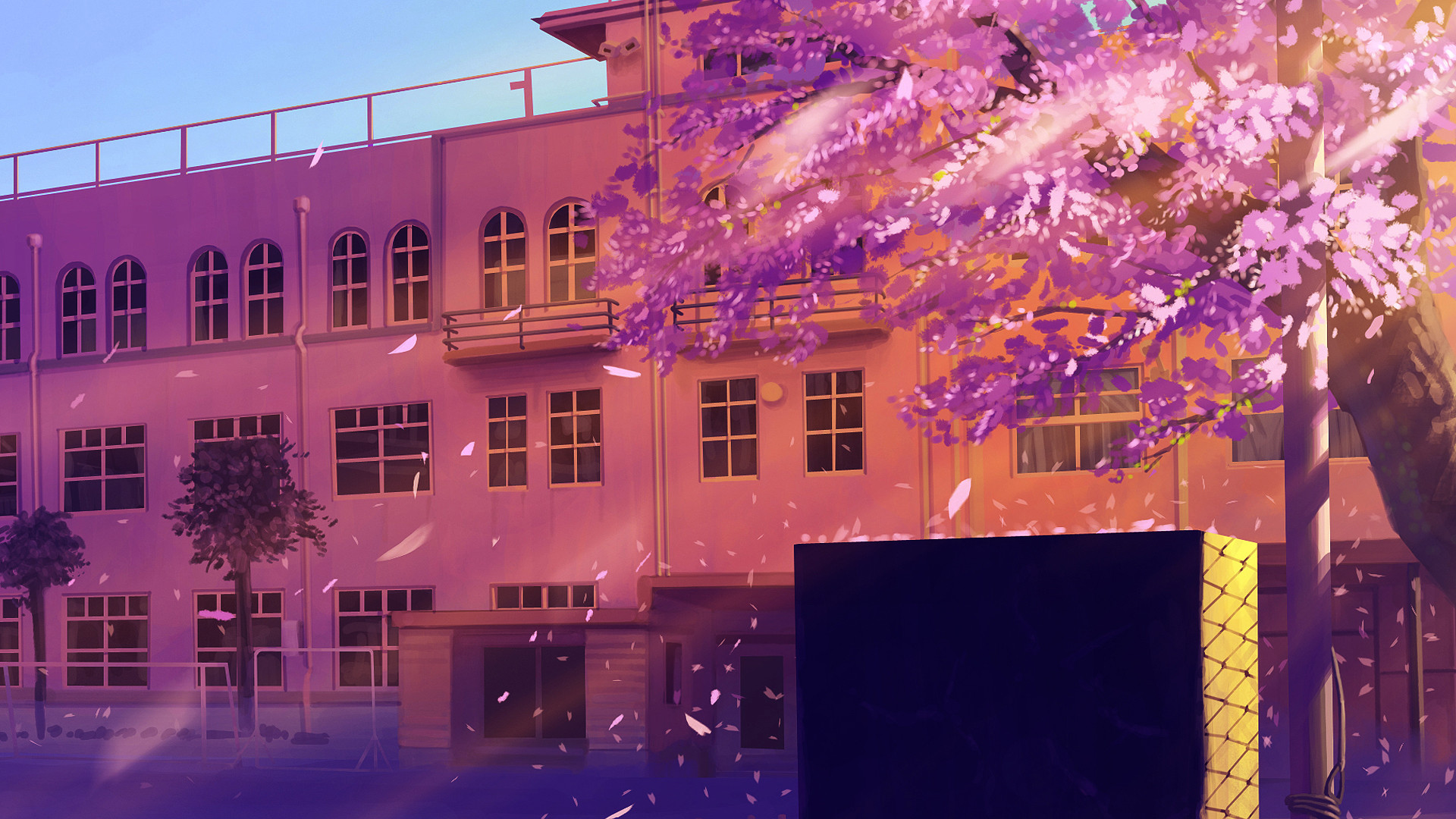 Anime School Cherry Blossom - HD Wallpaper 