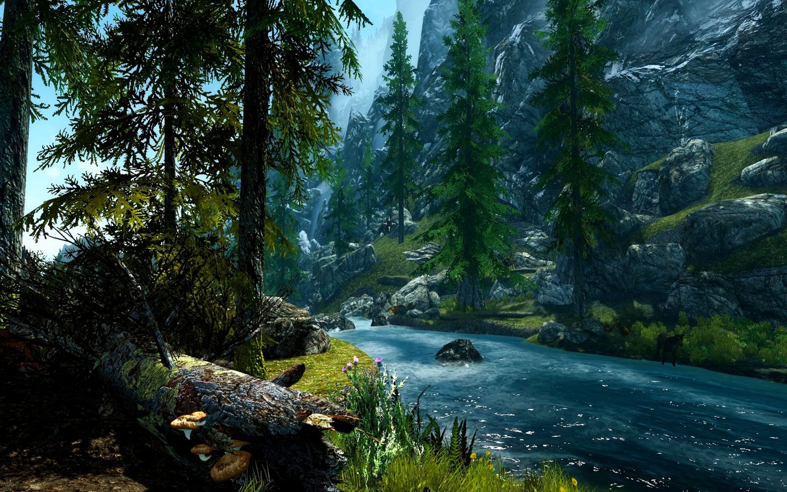 Hd Wallpaper Forest River - HD Wallpaper 