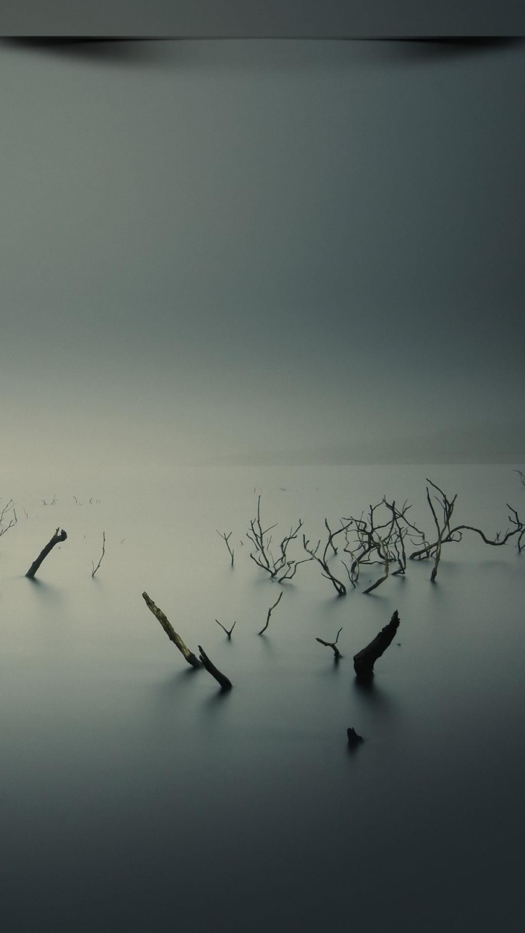 Shadow Wallpaper Hd - HD Wallpaper 