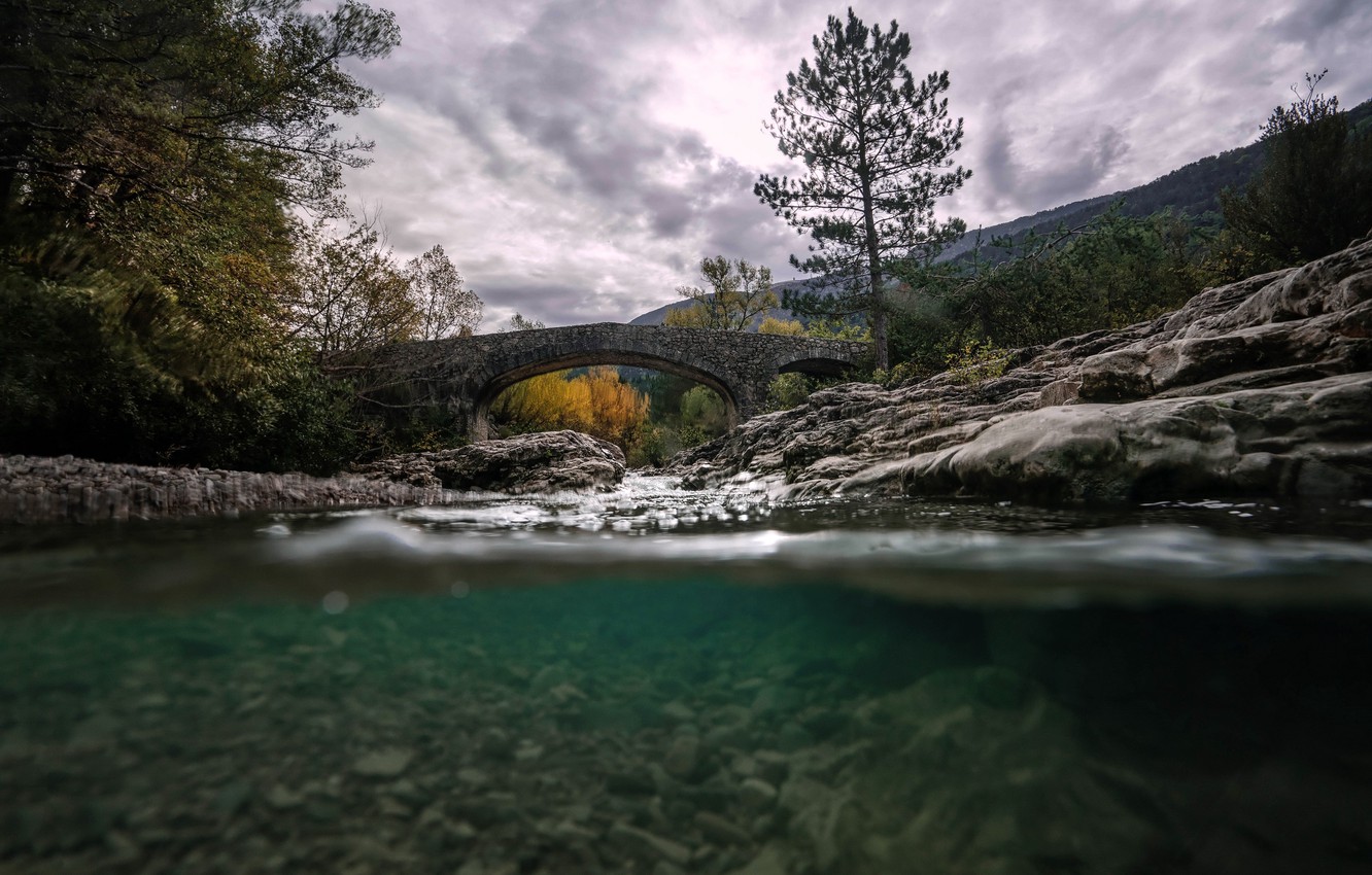 Photo Wallpaper Bridge, Nature, River - Larch - HD Wallpaper 