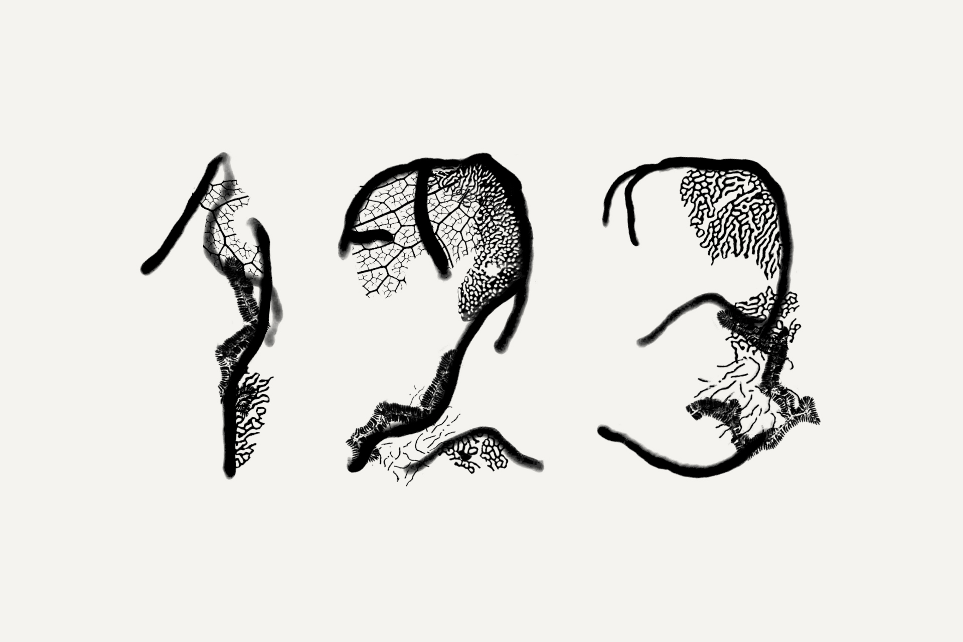 Neri Oxman - HD Wallpaper 