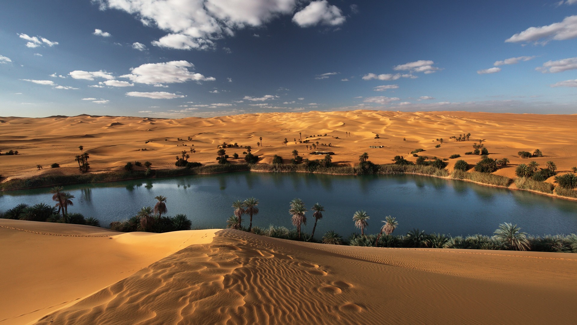 Photo Wallpaper Sand, Lake, Desert, Oasis, Sahara - Oasis Deserto - HD Wallpaper 