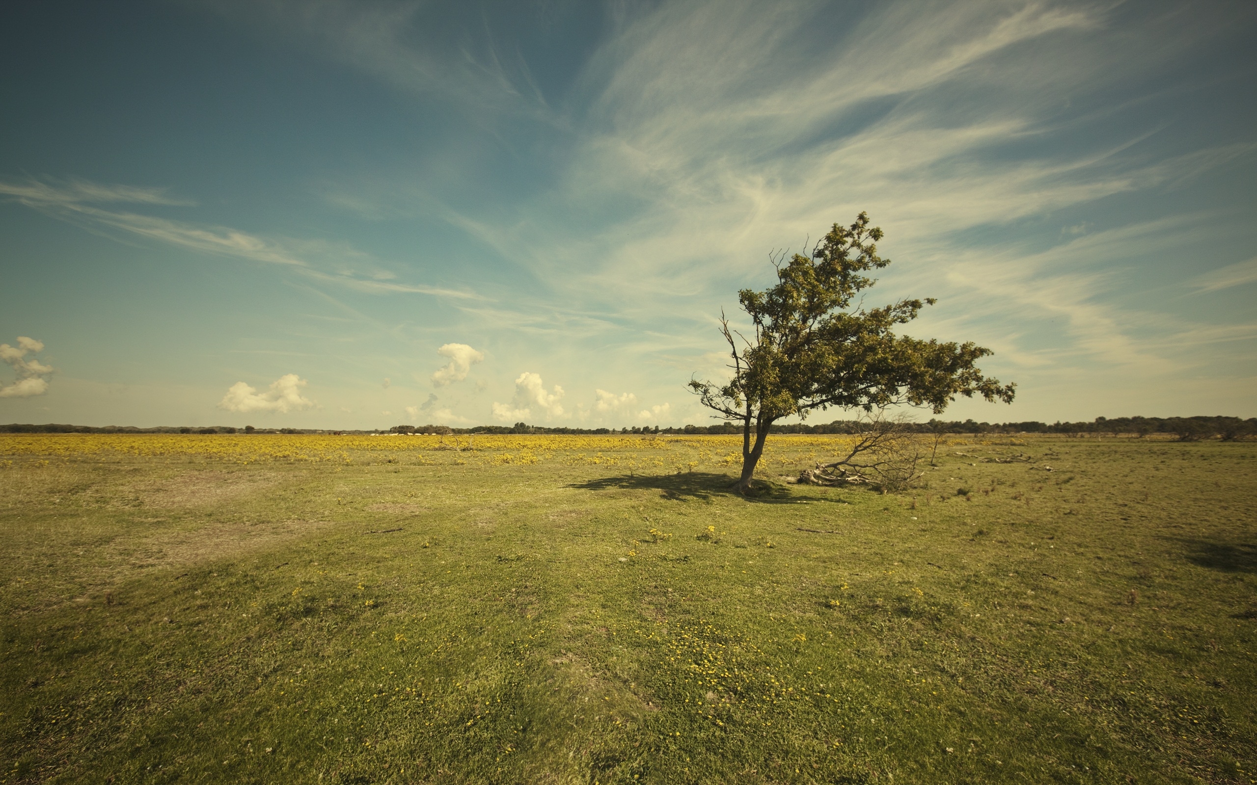 2560 X 1600 Calm - HD Wallpaper 