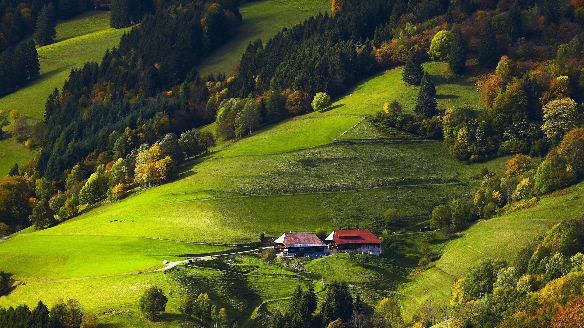 Germany Black Forest Fields Forests Wallpaper - Black Forest Germany Background - HD Wallpaper 