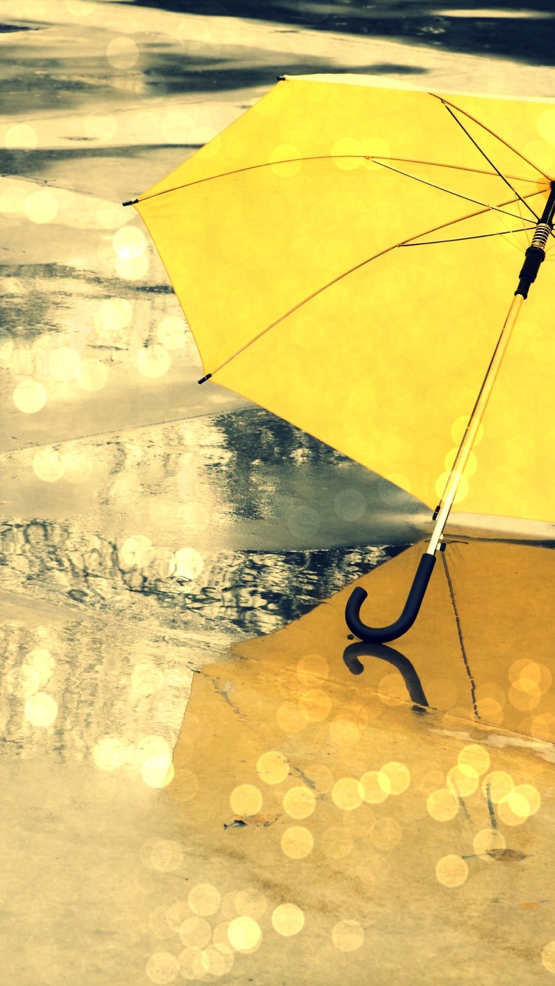 The Rain, Different, Umbrella, Yellow, Umbrella, Wet, - Beautiful Umbrella  Wallpapers Hd - 1080x1920 Wallpaper 