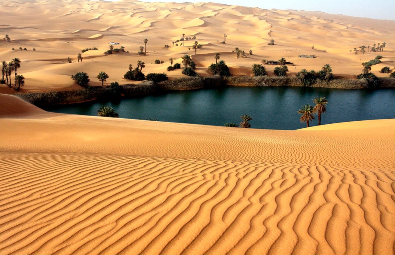 Deserts Amazing Desert Oasis Nature Wildflower Images - Desert Oasis - HD Wallpaper 