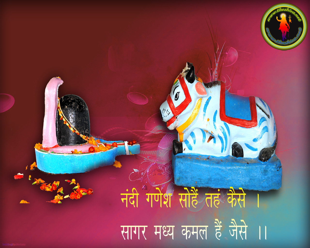 Animal - HD Wallpaper 