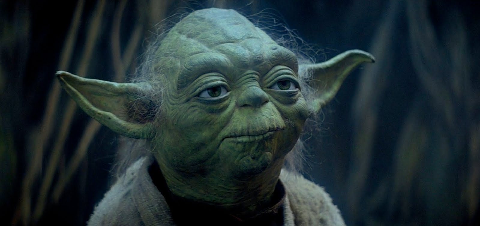 Yoda - HD Wallpaper 