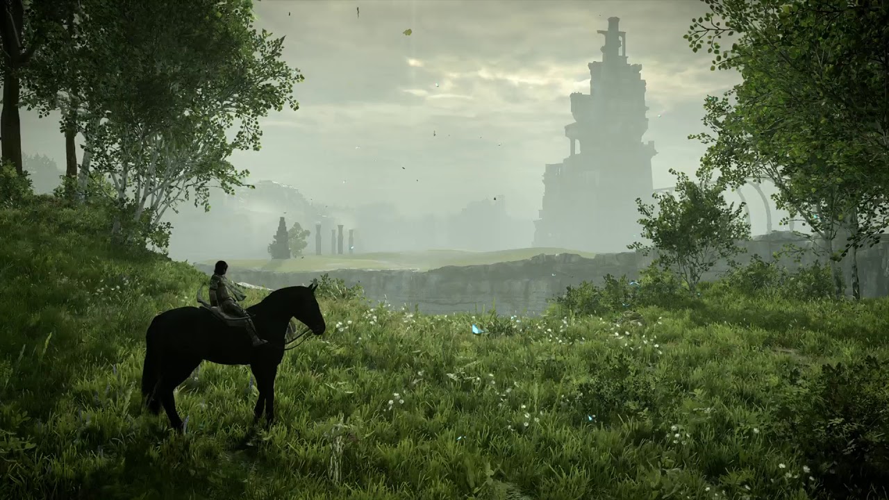 Tema Ps4 Shadow Of The Colossus - HD Wallpaper 