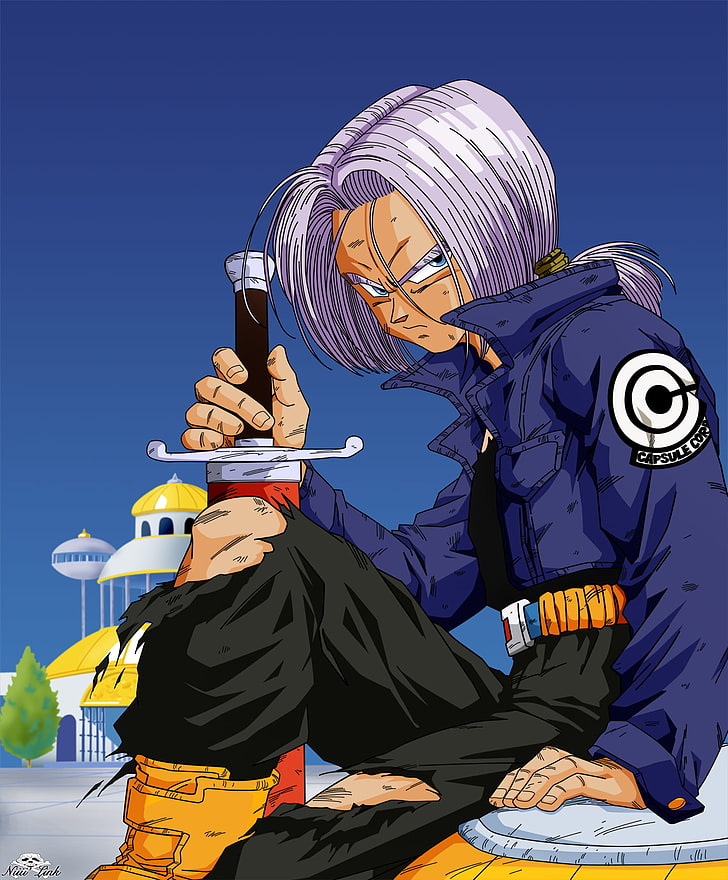 Trunks, Dragon Ball, Dragon Ball Z, One Person, Adult, Trunks Dbz