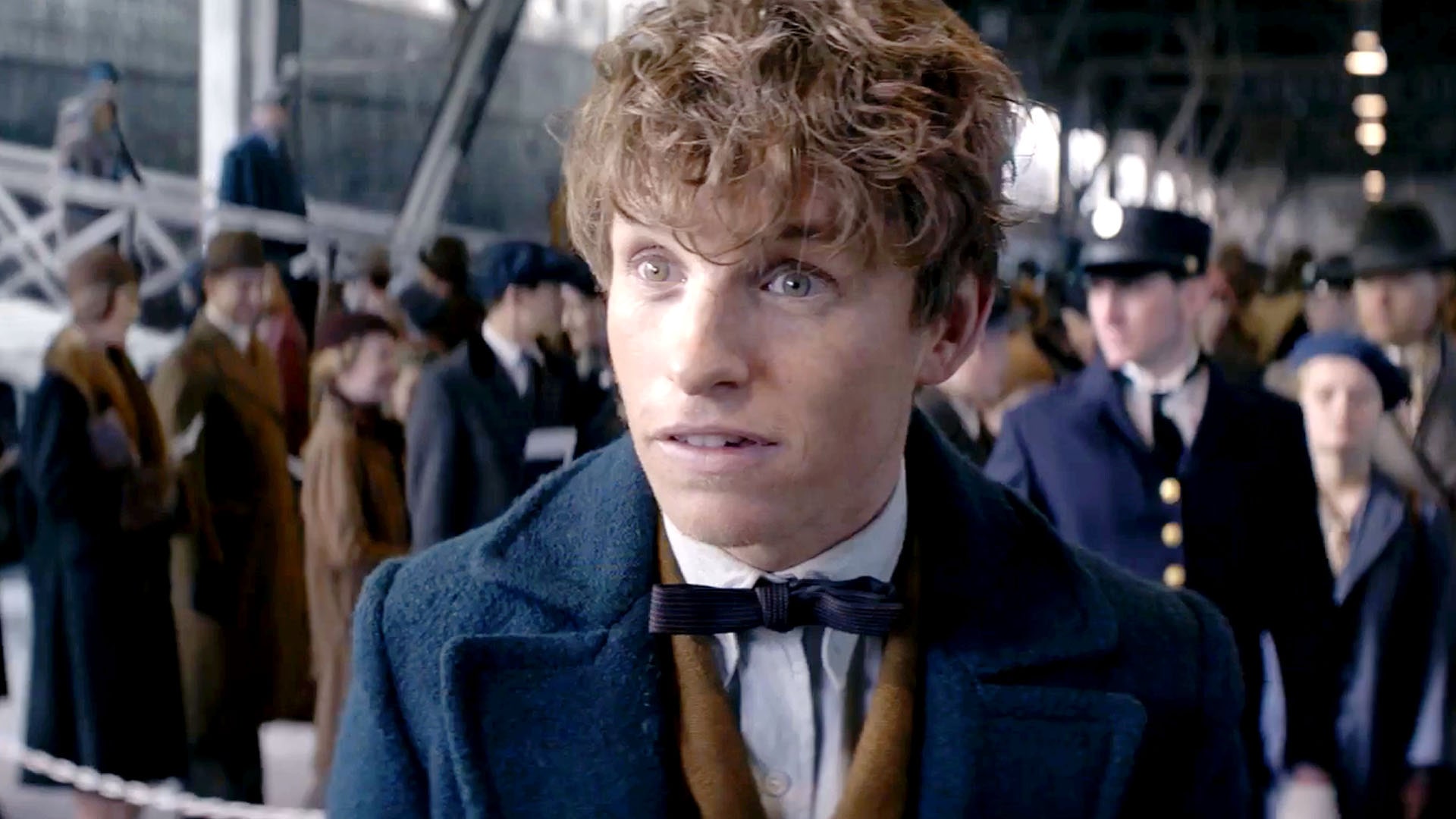 Fantastic Beasts And Where To Find Them Desktop Wallpaper - Newt Scamander X Male Reader - HD Wallpaper 