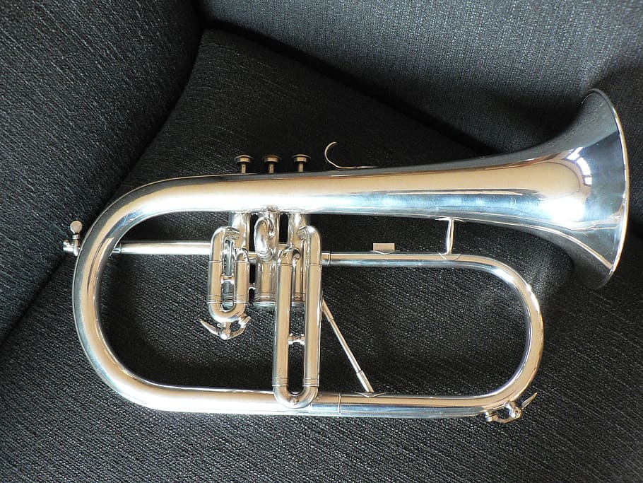 Flugelhorn, Courtois, Trumpet, Silver, No People, Close-up, - Bugle Courtois - HD Wallpaper 