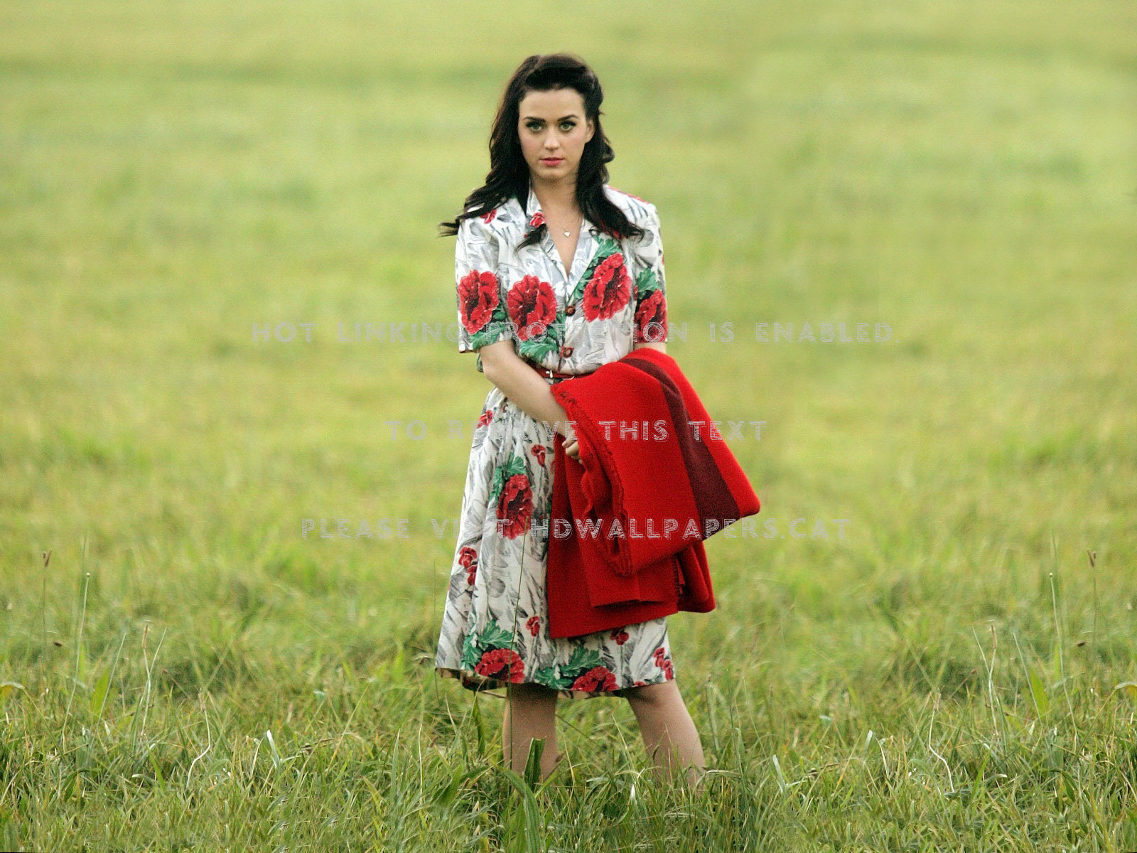 Katy Perry Thinking Of You Floral Dress - Katy Perry Vintage - HD Wallpaper 