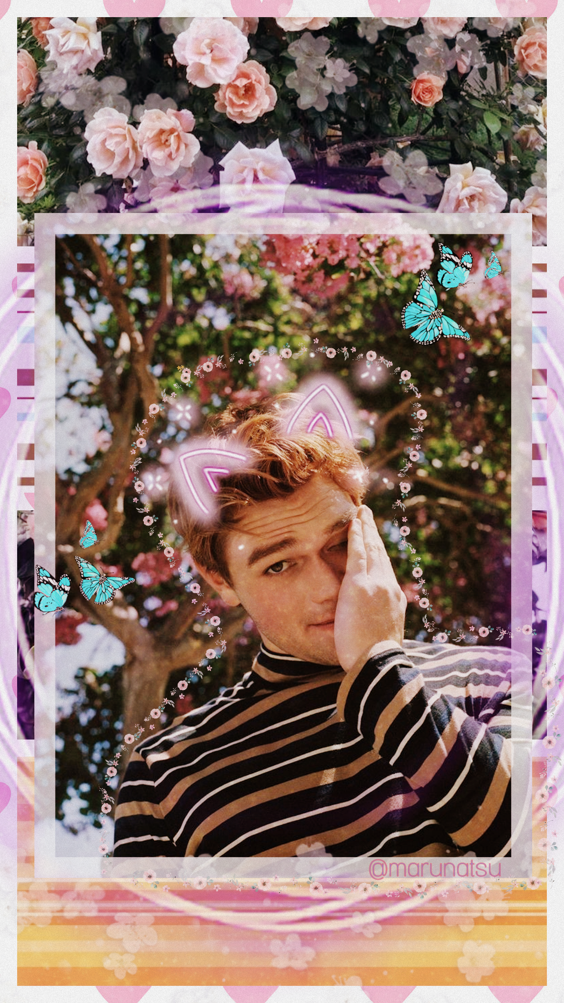 Omg Kj - Garden Roses - HD Wallpaper 