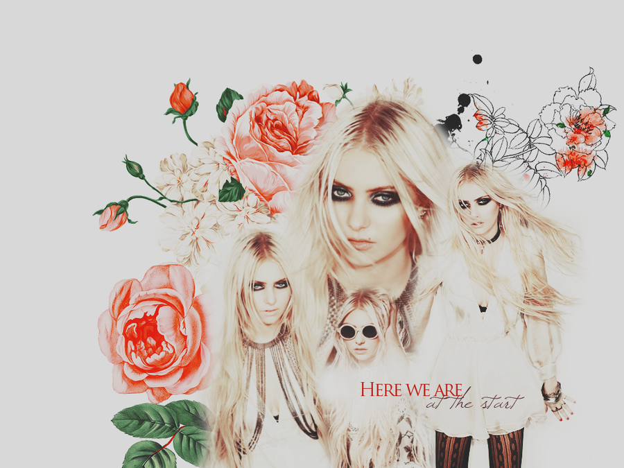 Taylor Momsen - Garden Roses - HD Wallpaper 
