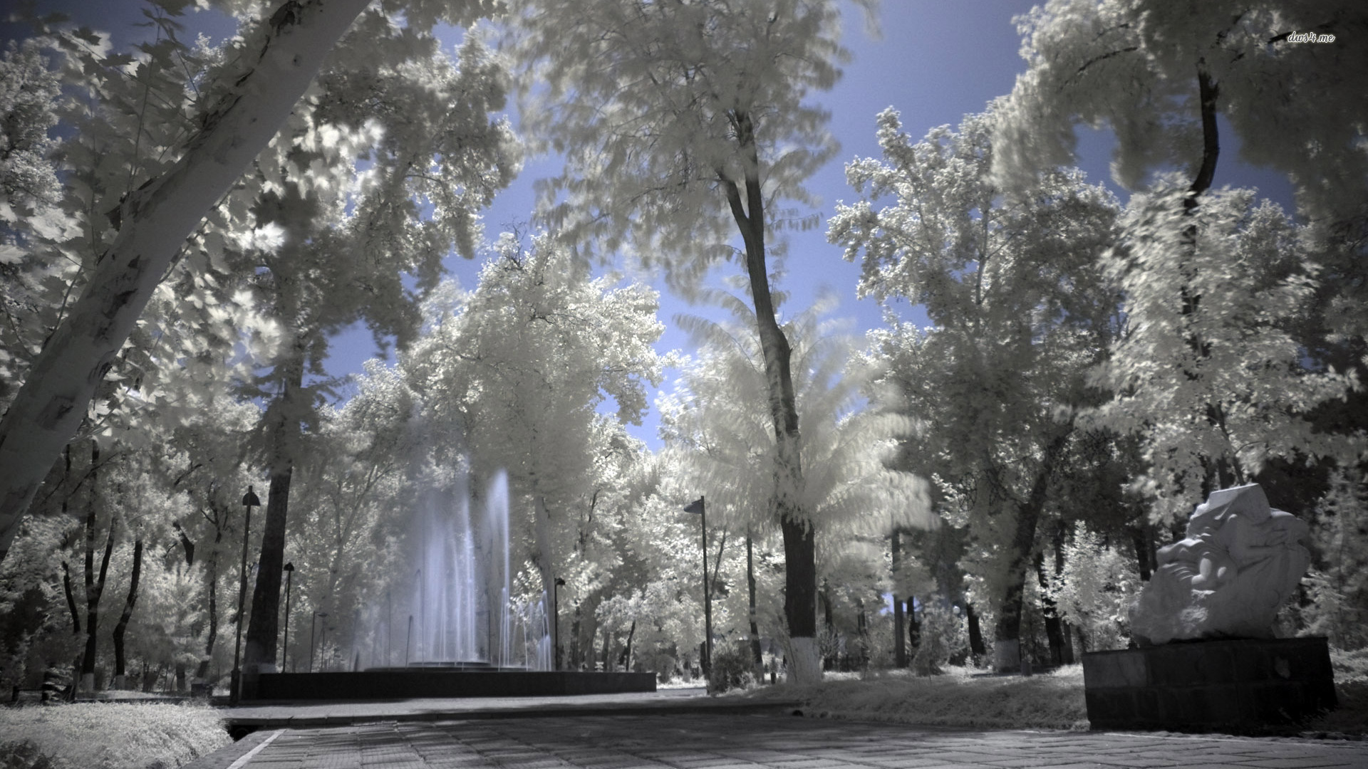 Wide Xga - HD Wallpaper 