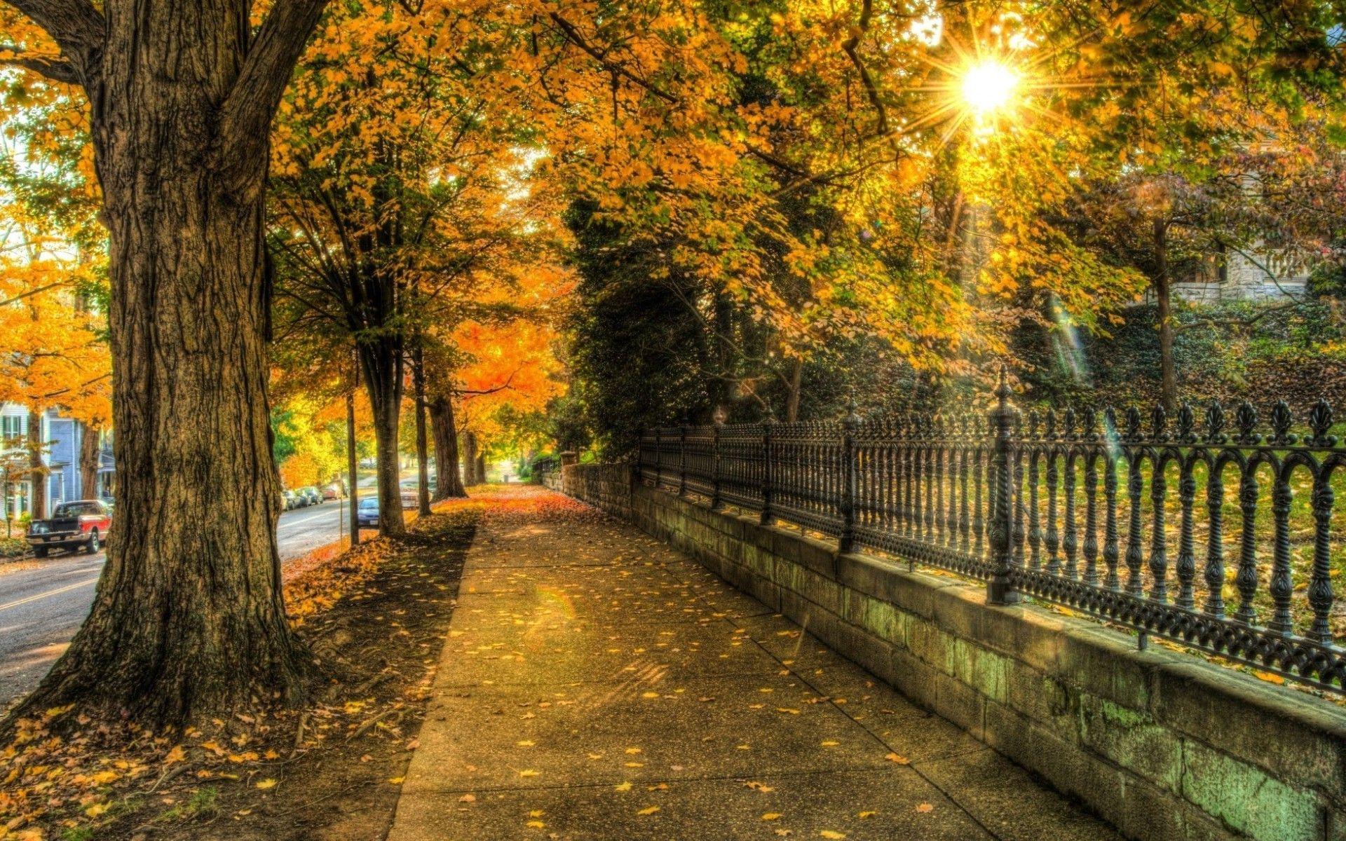 Hd Sun Shining On The Alley Wallpaper - Sun Shining - HD Wallpaper 