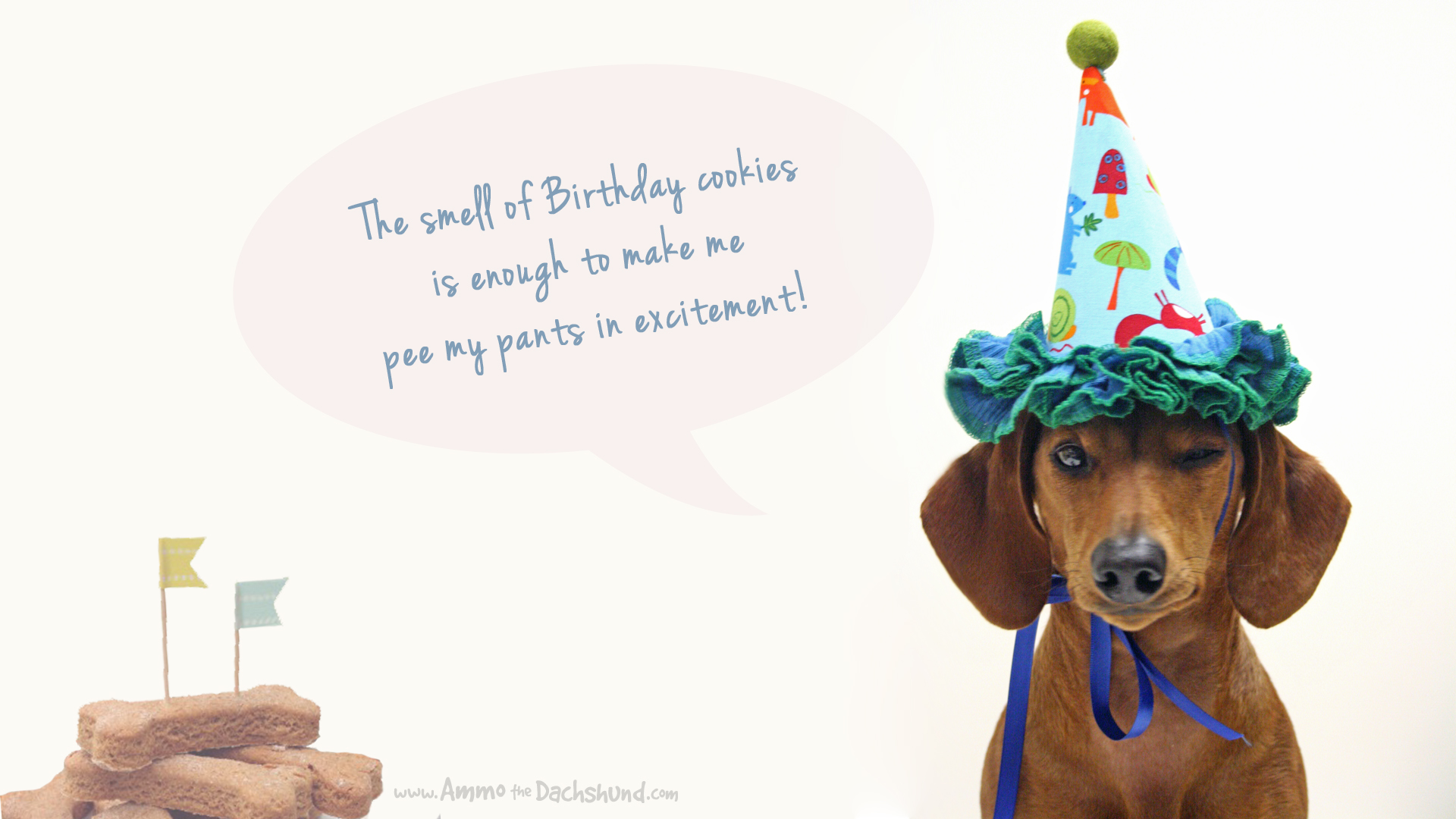 Funny Happy Birthday Wiener Dog - HD Wallpaper 