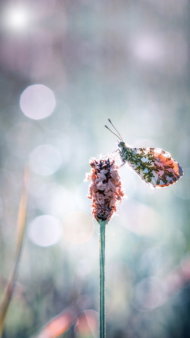 Prayer Is The Only Solution - HD Wallpaper 