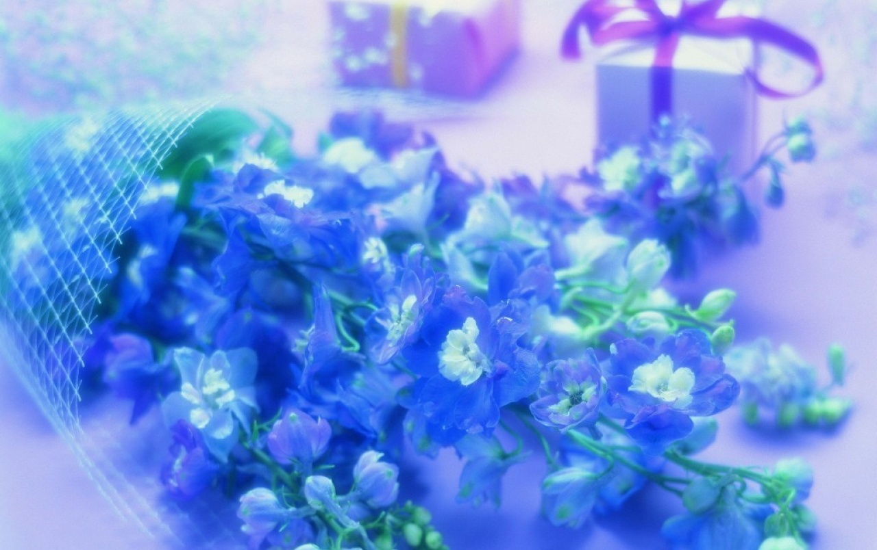 Valentine Flowers Wallpapers - Valentine Flower - HD Wallpaper 